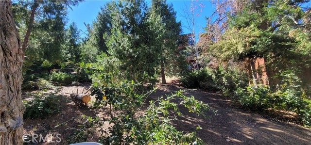 Detail Gallery Image 63 of 75 For 1317 Pinetree, Frazier Park,  CA 93225 - 3 Beds | 2 Baths