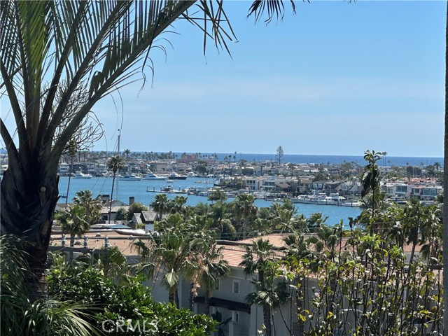 Front Image Thumbnail for CRNP26067442