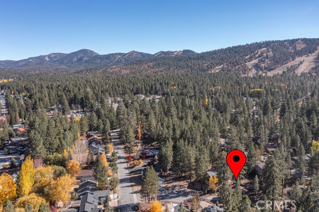 Detail Gallery Image 22 of 46 For 320 Dove Ct, Big Bear Lake,  CA 92315 - 3 Beds | 2 Baths