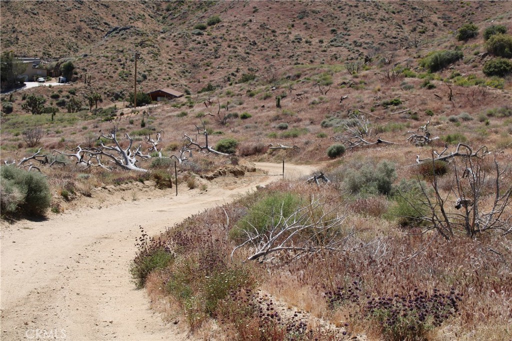 MLS #CV25166047 image #19