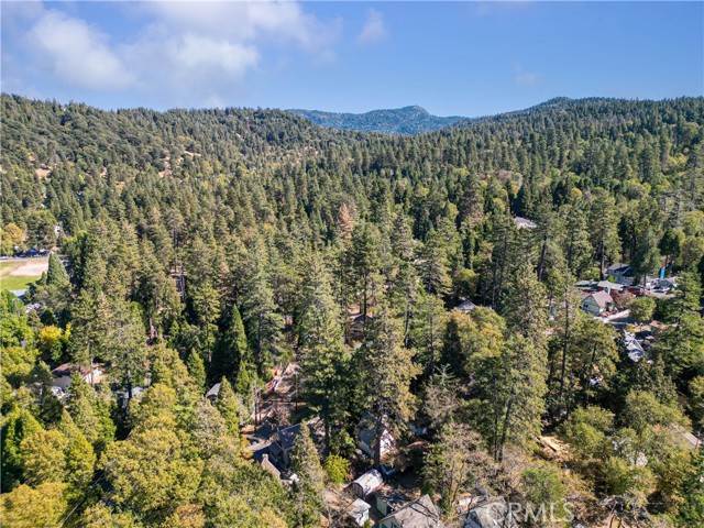 Detail Gallery Image 29 of 30 For 406 Forest Ln, Crestline,  CA 92325 - 3 Beds | 2 Baths