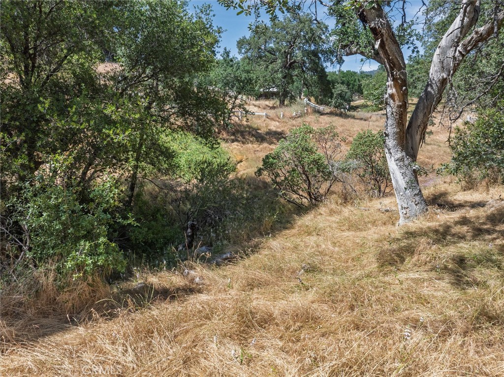 https://media.crmls.org/medias/a04d7328-2915-4dac-b2c6-611aae475d94.jpg?preset=X-Large