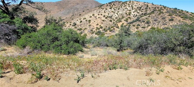 0 Vac/Vic Oracle Hills/Dusty Trail, Acton, California 91350, ,Land,For Sale,0 Vac/Vic Oracle Hills/Dusty Trail,CRSR24027628