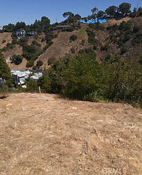 3230 Coldwater Canyon photo 4