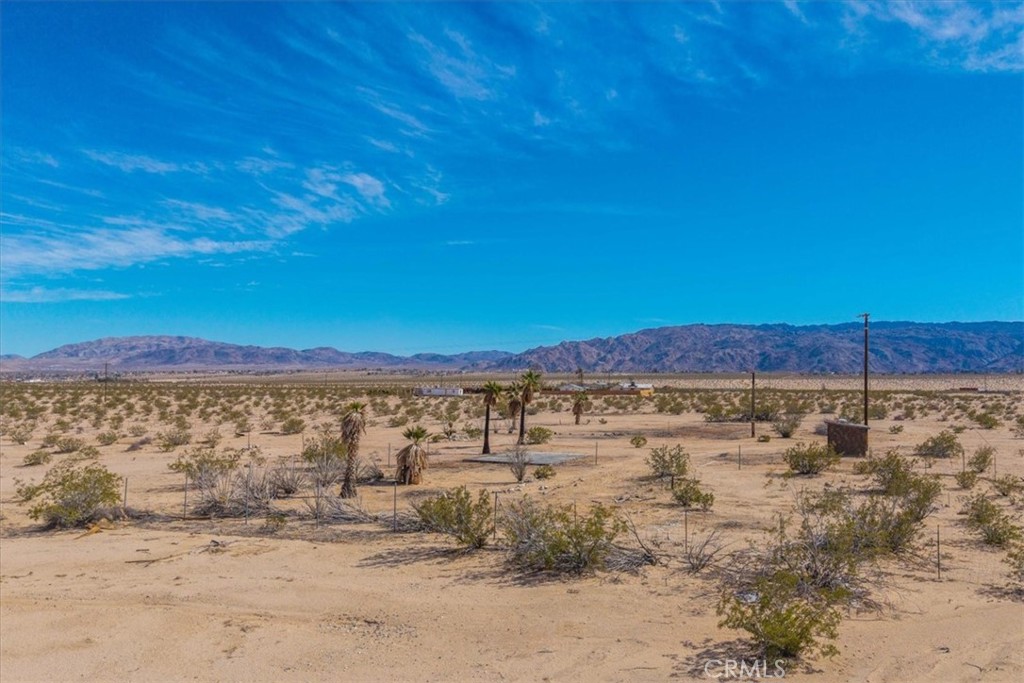 MLS #JT25029805 image #14