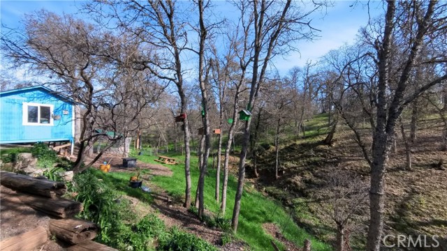 Detail Gallery Image 9 of 38 For 16463 33rd Ave, Clearlake,  CA 95422 - 3 Beds | 2 Baths