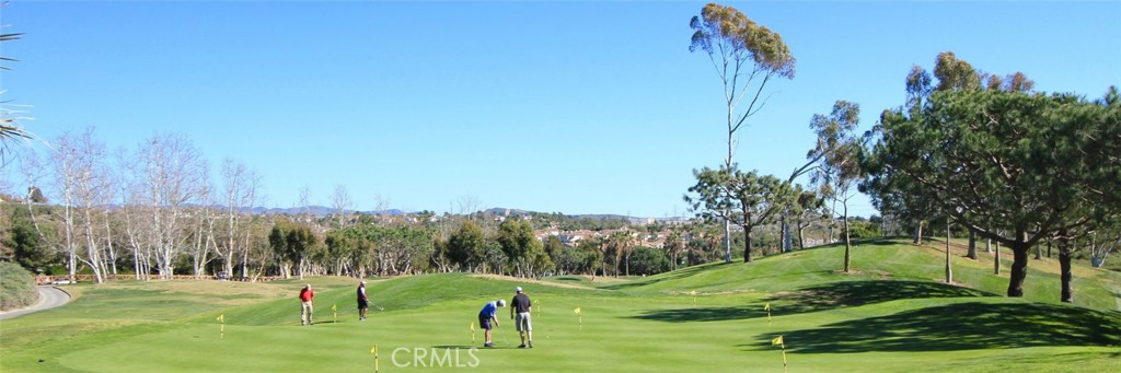 MLS #OC25253150 image #39