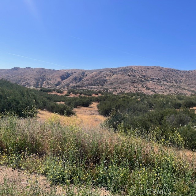 Detail Gallery Image 6 of 7 For 24330 El Toro, Perris,  CA 92570 - – Beds | – Baths