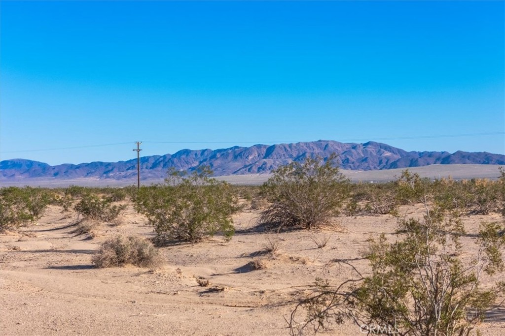 MLS #JT25233537 image #27