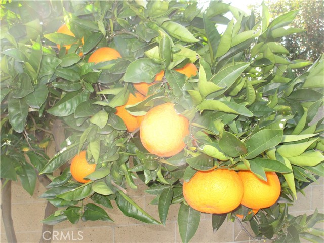 Detail Gallery Image 8 of 41 For 2281 Faust Ave, Long Beach,  CA 90815 - 3 Beds | 3 Baths