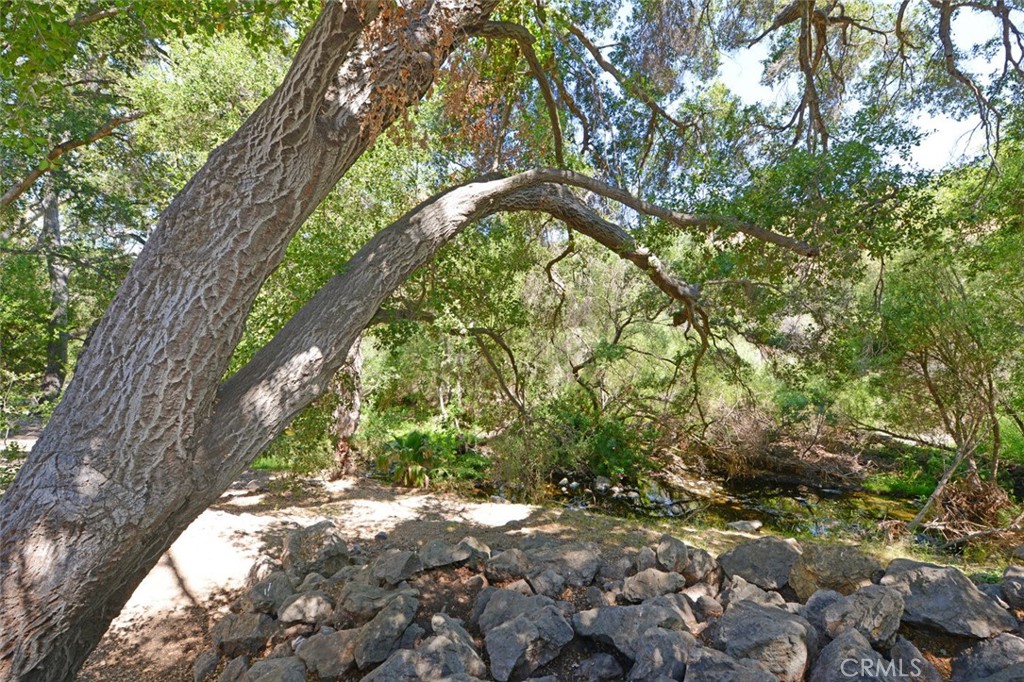 https://media.crmls.org/medias/a07c9613-5077-499c-a9ff-6cd54c8d9250.jpg?preset=X-Large