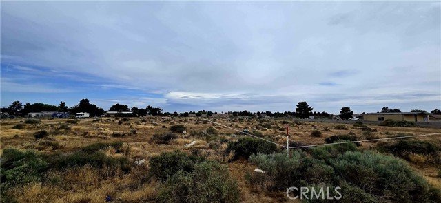 Front Image Thumbnail for CRDW26090773