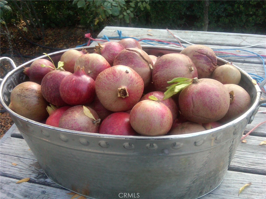 https://media.crmls.org/medias/a0810a8d-67d8-48d3-8709-5f70a3d7a279.jpg?preset=X-Large