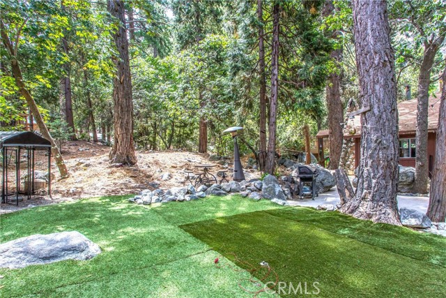 9269 Wood Road, Forest Falls CA: https://media.crmls.org/medias/a08c3058-ac79-413e-a257-2ed1cce6b256.jpg