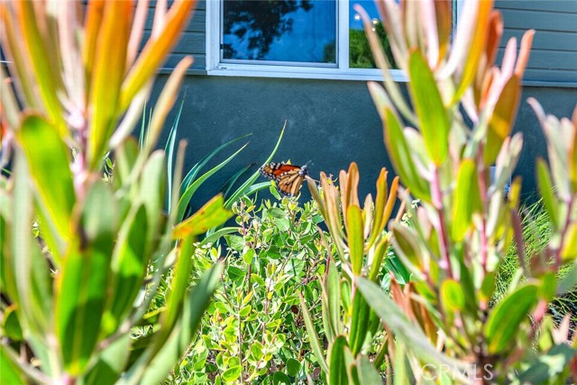 Detail Gallery Image 3 of 44 For 7451 Midfield Ave, Los Angeles,  CA 90045 - 3 Beds | 2 Baths