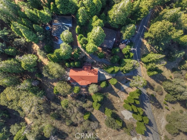 729 Minty Pine Drive, Cedarpines Park, CA 92322