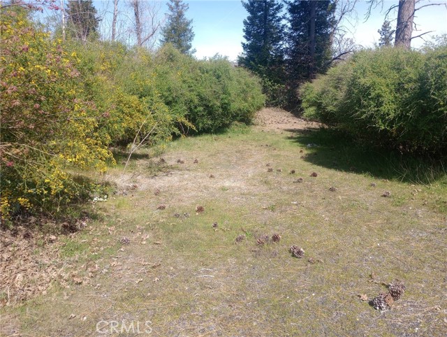 Detail Gallery Image 12 of 27 For 3515 Hoffman, Oroville,  CA 95965 - – Beds | – Baths