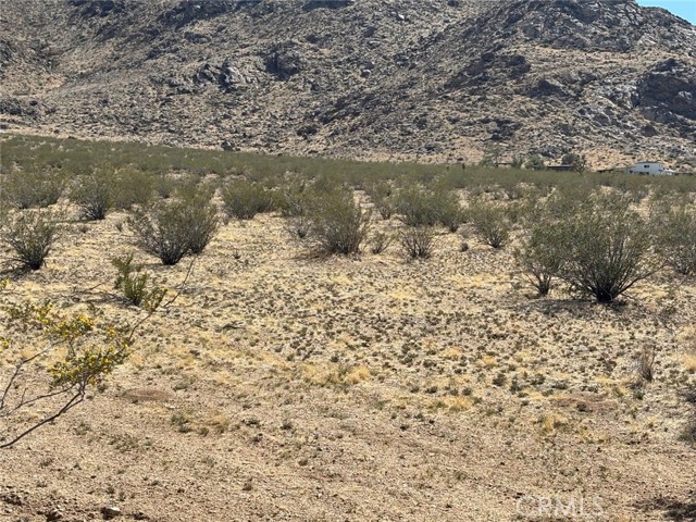 Detail Gallery Image 7 of 8 For 0 Holmes, Lucerne Valley,  CA 92356 - – Beds | – Baths