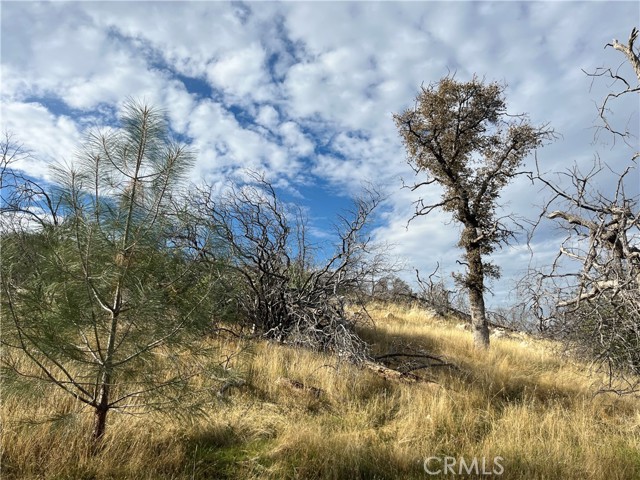 Detail Gallery Image 19 of 69 For 4934 Guadalupe Fire, Catheys Valley,  CA 95306 - – Beds | – Baths