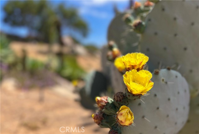 28306 Crescent Hill Way, Escondido CA: https://media.crmls.org/medias/a0a1ef1a-0d42-4d8a-a21d-13a7ee5c2104.jpg