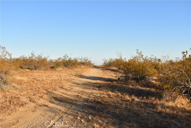 Detail Gallery Image 7 of 16 For 19300 Astoria Ave, Rosamond,  CA 93560 - – Beds | – Baths