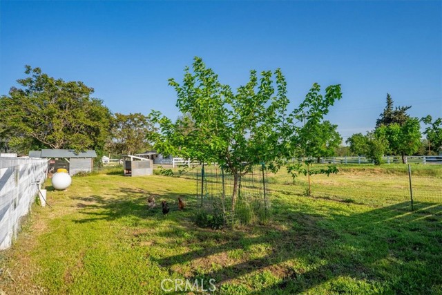 8791 Fox Street, Los Molinos CA: https://media.crmls.org/medias/a0adab03-96ad-40fe-8641-f41eadcfc3b6.jpg