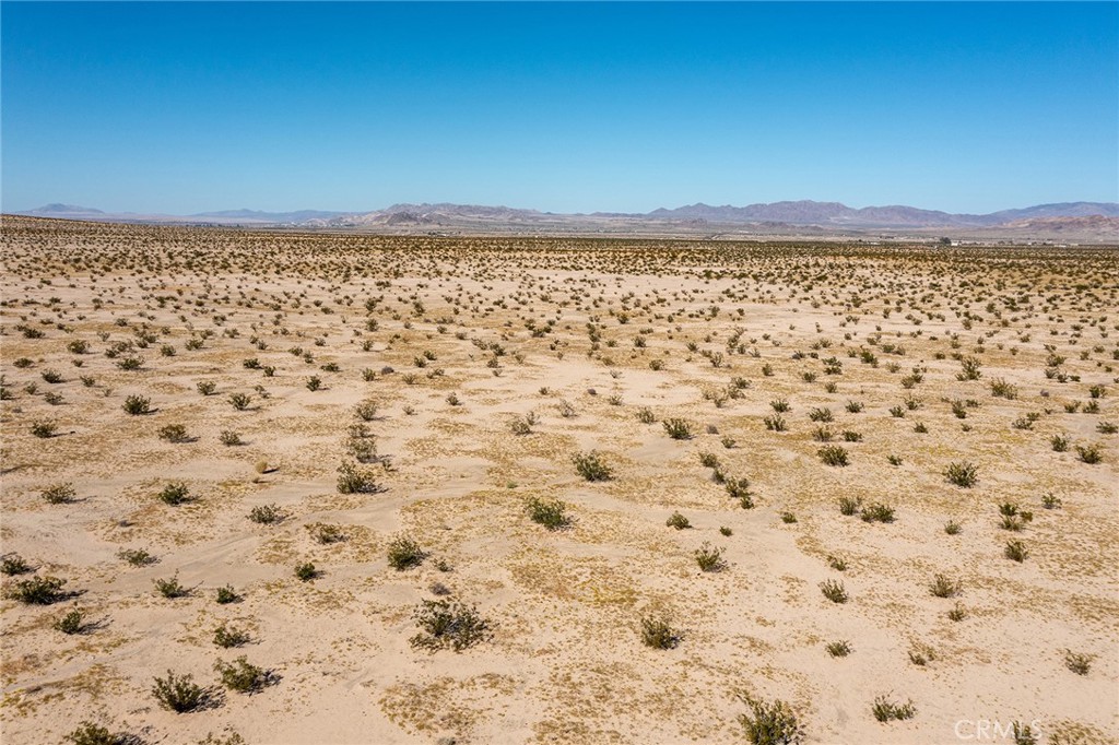 MLS #JT25255739 image #3