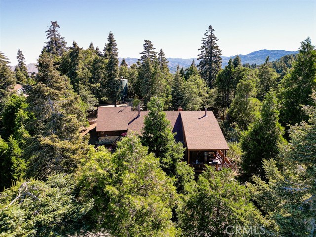 Detail Gallery Image 65 of 70 For 735 Oak Rd, Lake Arrowhead,  CA 92352 - 3 Beds | 4 Baths