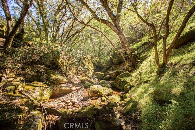 Detail Gallery Image 9 of 74 For 44981 Todd Eymann Rd, Miramonte,  CA 93641 - 1 Beds | 1 Baths