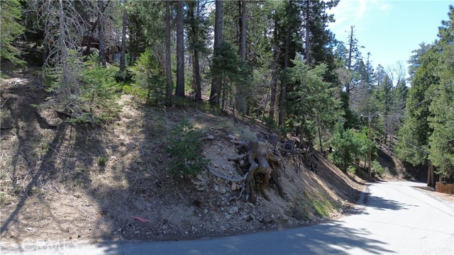 Detail Gallery Image 24 of 24 For 586 Rose, Twin Peaks,  CA 92391 - – Beds | – Baths