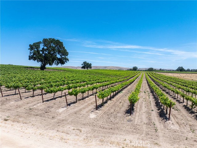 Detail Gallery Image 26 of 33 For 5275 Camp 8 Rd, Paso Robles,  CA 93446 - 12 Beds | 7/1 Baths