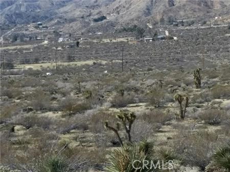 Detail Gallery Image 6 of 6 For 0 29 Palms Highway, Morongo Valley,  CA 92256 - – Beds | – Baths