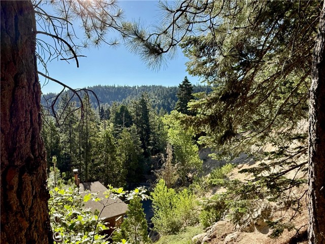 Front Image Thumbnail for CRIV26072027