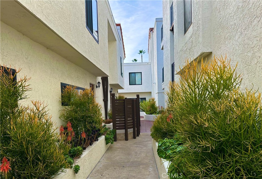 3525 Lebon Drive - photo 3