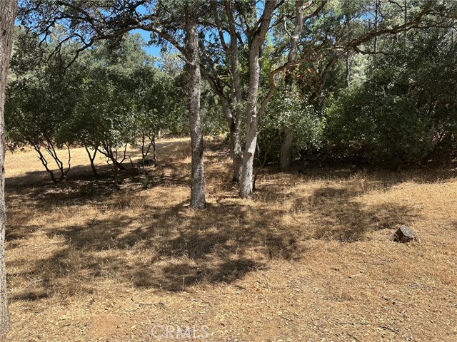 10810 Pingree Road, Clearlake Oaks CA: https://media.crmls.org/medias/a0ccfb7a-fca2-4f19-8740-cfb5aedd7863.jpg