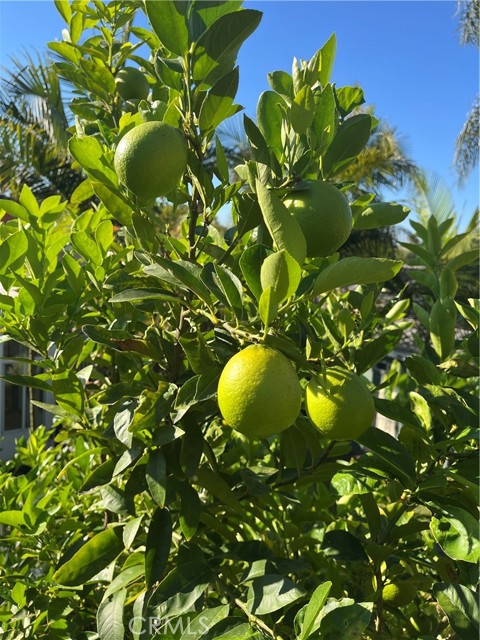 Detail Gallery Image 12 of 15 For 4862 Sevilla Way, Carlsbad,  CA 92008 - 4 Beds | 3 Baths