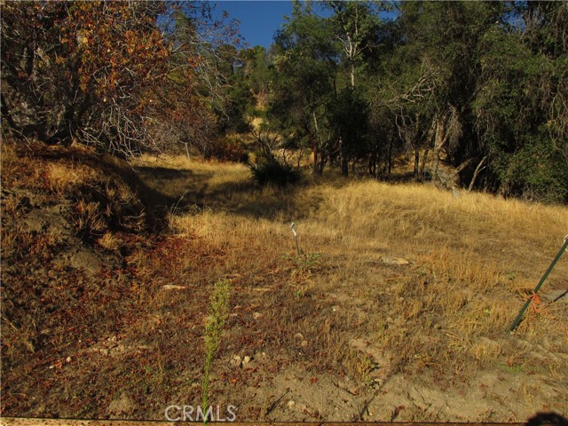 Detail Gallery Image 3 of 54 For 2 Ac Old Oaks Ct, North Fork,  CA 93643 - – Beds | – Baths