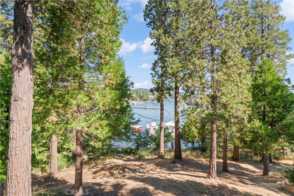 MLS #IG25179854 img 37