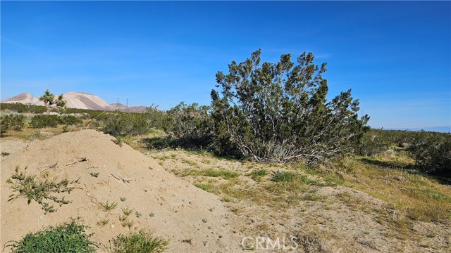 Detail Gallery Image 7 of 8 For 0 70th St West, Rosamond,  CA 93560 - – Beds | – Baths