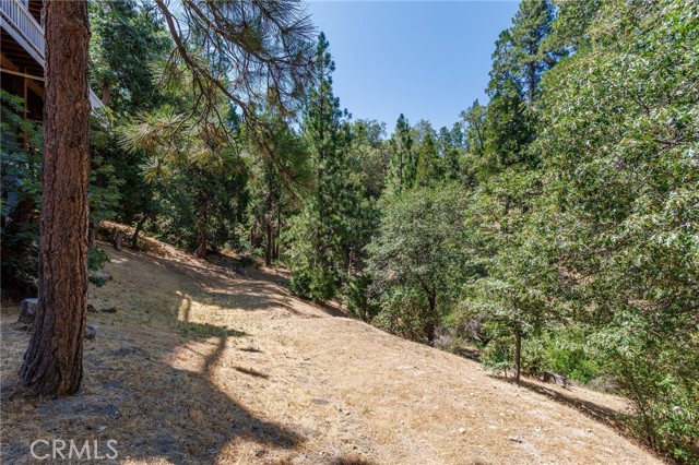 Detail Gallery Image 49 of 61 For 28575 Manitoba Dr, Lake Arrowhead,  CA 92352 - 4 Beds | 2/1 Baths