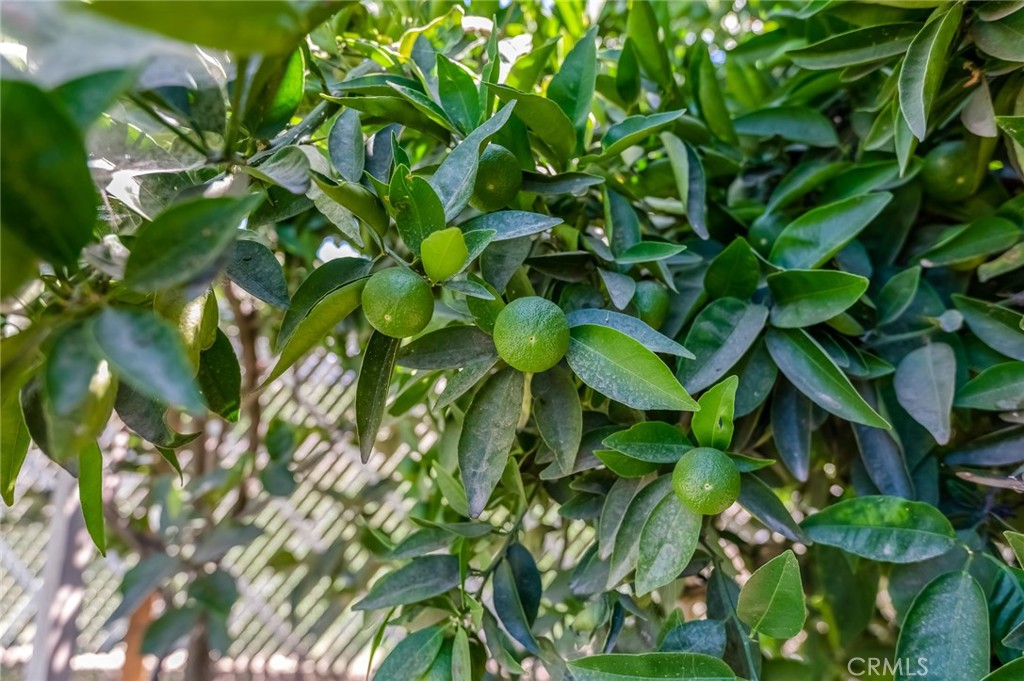 https://media.crmls.org/medias/a0fd90e7-04a5-4dca-b102-0e59d76c105b.jpg?preset=X-Large