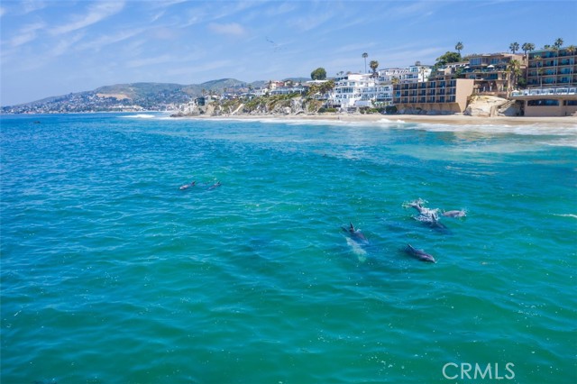 Detail Gallery Image 46 of 47 For 31423 S Coast #36,  Laguna Beach,  CA 92651 - 2 Beds | 2 Baths