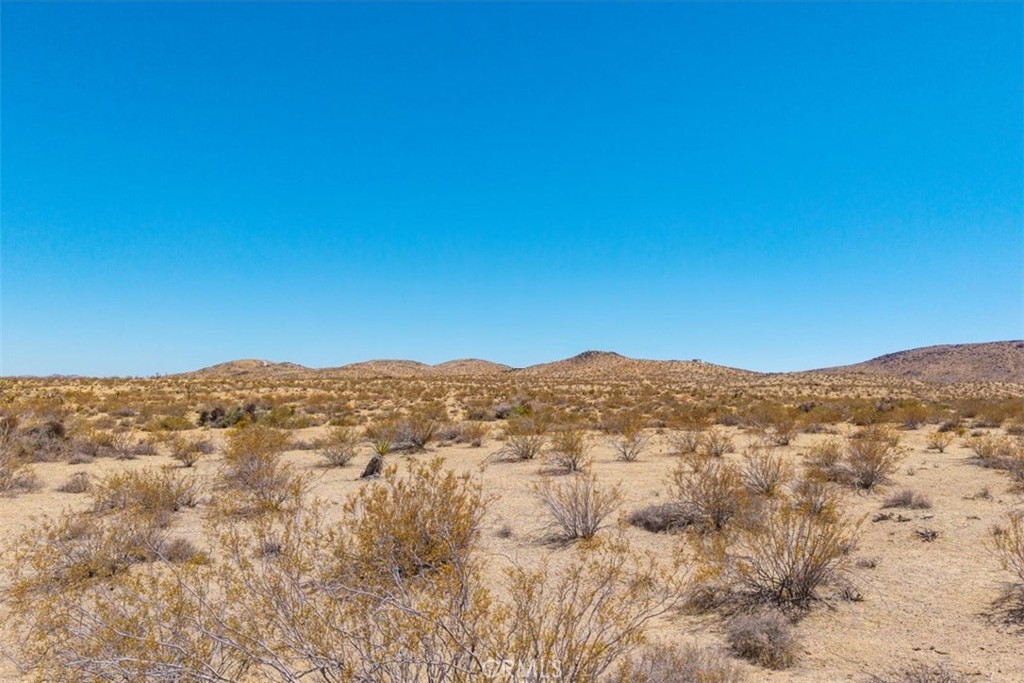 MLS #JT25173166 image #5