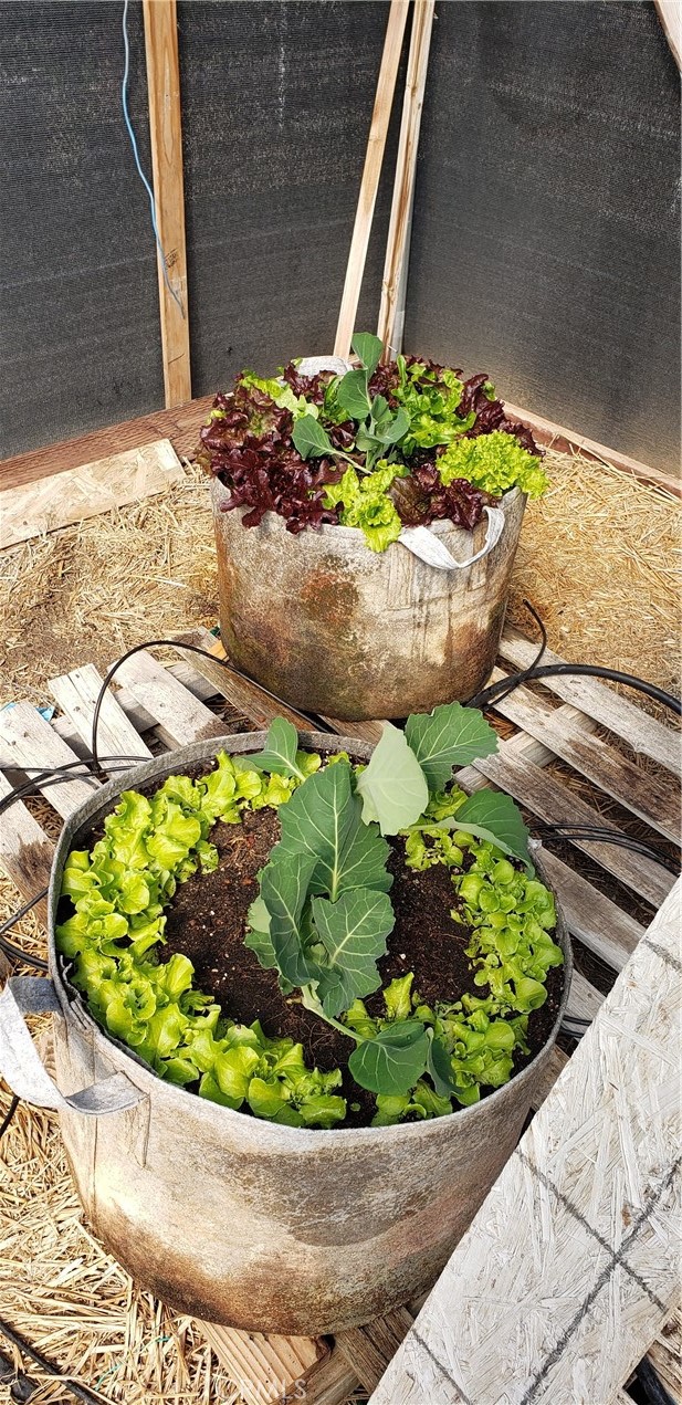 Detail Gallery Image 49 of 74 For 57745 Bailey, Anza,  CA 92539 - 3 Beds | 2 Baths