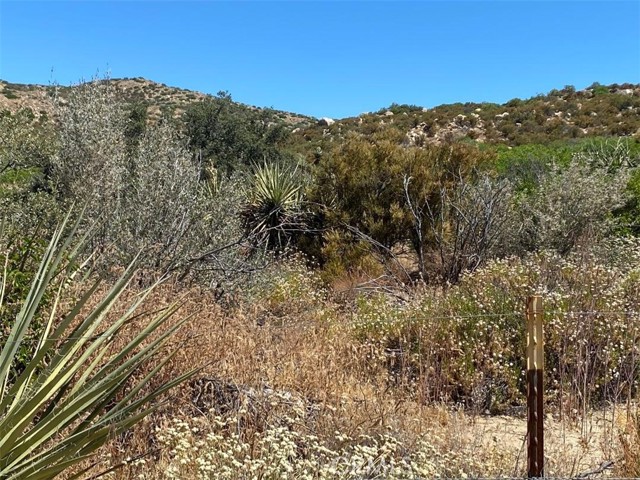 42729 Wild Horse, Anza, CA, 92539 42729 Wild Horse, Anza, CA, 92539