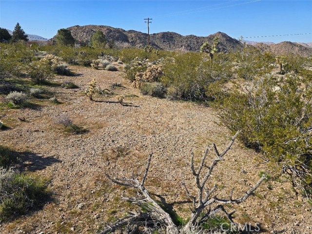 Detail Gallery Image 8 of 18 For 32573 Azurite, Lucerne Valley,  CA 92356 - – Beds | – Baths