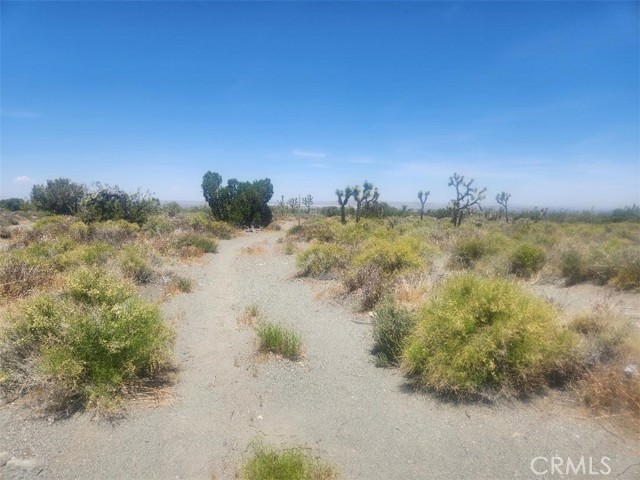 Detail Gallery Image 6 of 8 For 0 Minero Rd, Pinon Hills,  CA 92372 - – Beds | – Baths