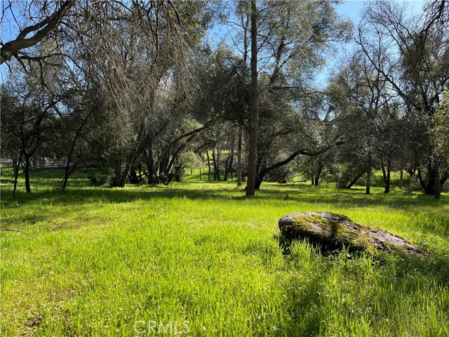 120 Sioux Rd, Coarsegold, CA, 93614