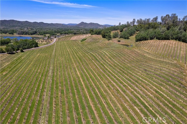 Detail Gallery Image 36 of 51 For 7875 Adobe Creek Rd, Kelseyville,  CA 95451 - 4 Beds | 4 Baths