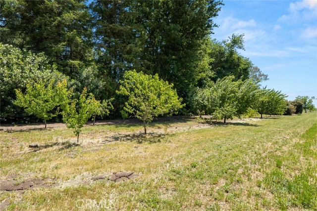 Detail Gallery Image 45 of 59 For 5375 Nord Hwy, Chico,  CA 95973 - 3 Beds | 2 Baths